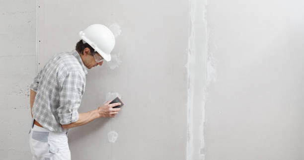 Best Wallpaper Removal and Painting  in Awendaw, SC